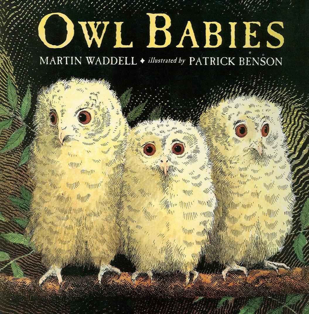 owl-babies1-e1280838356302